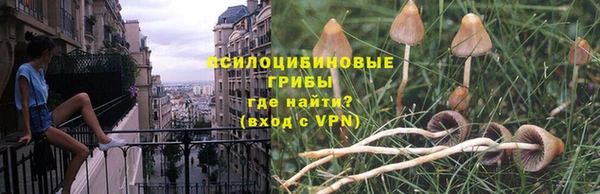 mdpv Иннополис