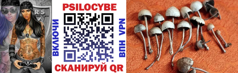 Галлюциногенные грибы прущие грибы  Купить  Великий Устюг 